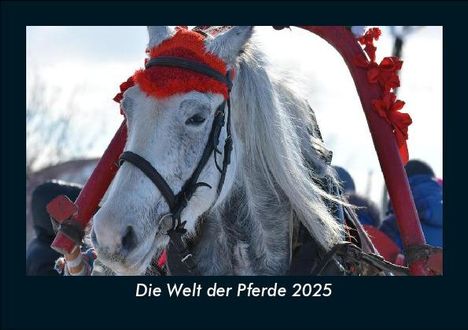 Tobias Becker: Die Welt der Pferde 2025 Fotokalender DIN A5, Kalender