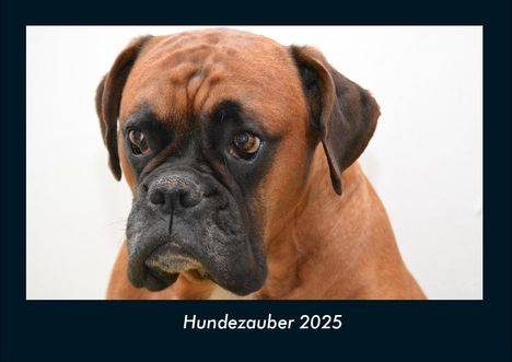 Tobias Becker: Hundezauber 2025 Fotokalender DIN A4, Kalender