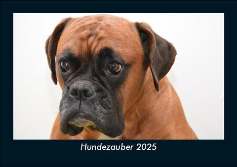 Tobias Becker: Hundezauber 2025 Fotokalender DIN A5, Kalender