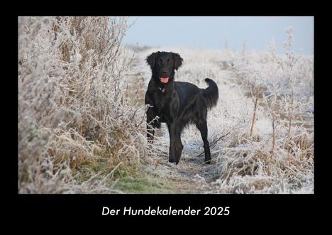 Tobias Becker: Der Hundekalender 2025 Fotokalender DIN A3, Kalender