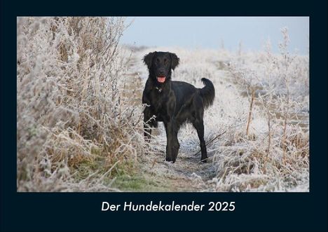 Tobias Becker: Der Hundekalender 2025 Fotokalender DIN A4, Kalender