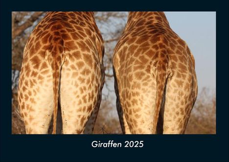 Tobias Becker: Giraffen 2025 Fotokalender DIN A4, Kalender