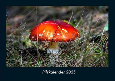 Tobias Becker: Pilzkalender 2025 Fotokalender DIN A4, Kalender