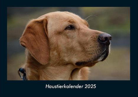 Tobias Becker: Haustierkalender 2025 Fotokalender DIN A4, Kalender