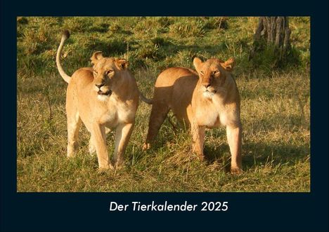 Tobias Becker: Der Tierkalender 2025 Fotokalender DIN A4, Kalender