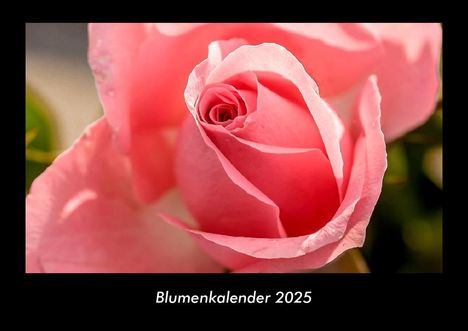 Tobias Becker: Blumenkalender 2025 Fotokalender DIN A3, Kalender