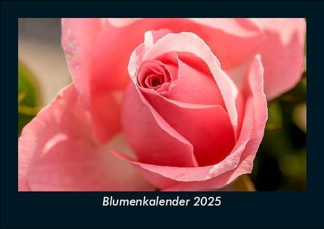 Tobias Becker: Blumenkalender 2025 Fotokalender DIN A5, Kalender