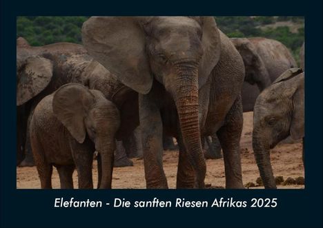 Tobias Becker: Elefanten - Die sanften Riesen Afrikas 2025 Fotokalender DIN A4, Kalender