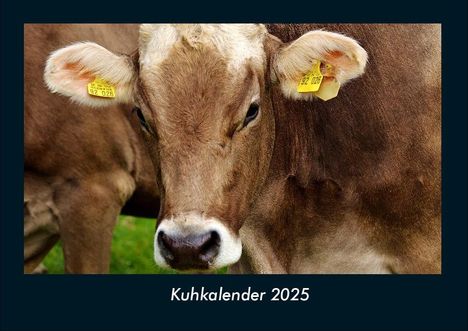 Tobias Becker: Kuhkalender 2025 Fotokalender DIN A4, Kalender