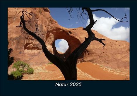 Tobias Becker: Natur 2025 Fotokalender DIN A5, Kalender