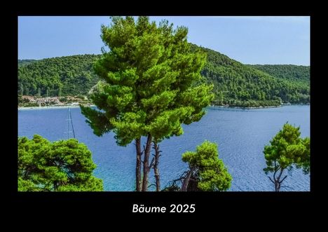 Tobias Becker: Bäume 2025 Fotokalender DIN A3, Kalender