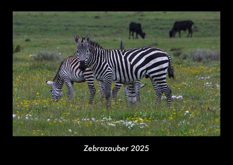 Tobias Becker: Zebrazauber 2025 Fotokalender DIN A3, Kalender