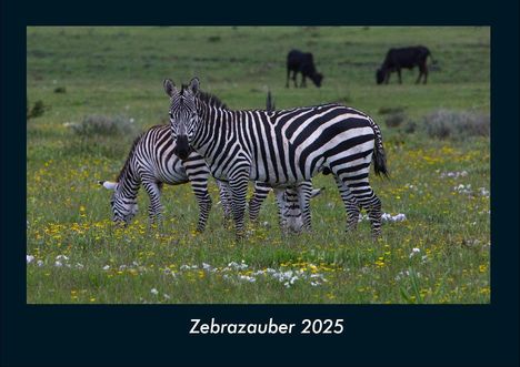 Tobias Becker: Zebrazauber 2025 Fotokalender DIN A4, Kalender