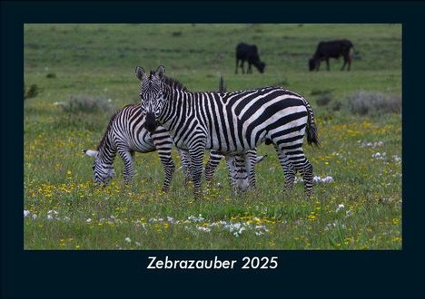 Tobias Becker: Zebrazauber 2025 Fotokalender DIN A5, Kalender