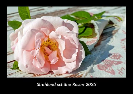 Tobias Becker: Strahlend schöne Rosen 2025 Fotokalender DIN A3, Kalender