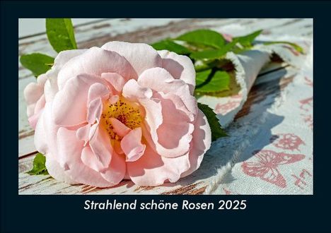 Tobias Becker: Strahlend schöne Rosen 2025 Fotokalender DIN A5, Kalender