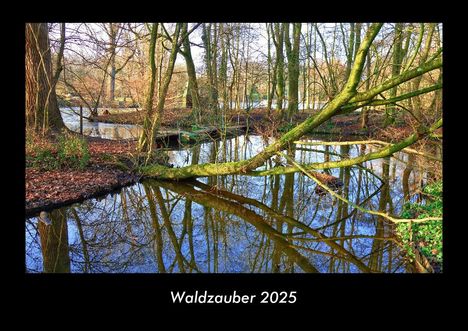 Tobias Becker: Waldzauber 2025 Fotokalender DIN A3, Kalender