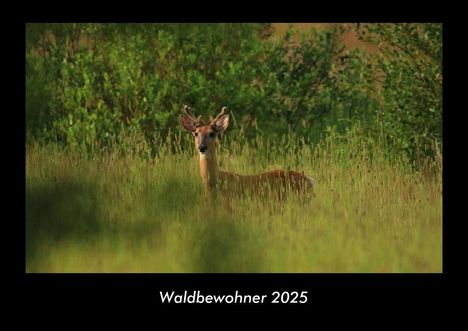 Tobias Becker: Waldbewohner 2025 Fotokalender DIN A3, Kalender