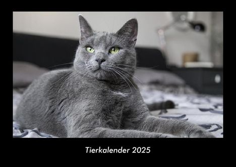 Tobias Becker: Tierkalender 2025 Fotokalender DIN A3, Kalender