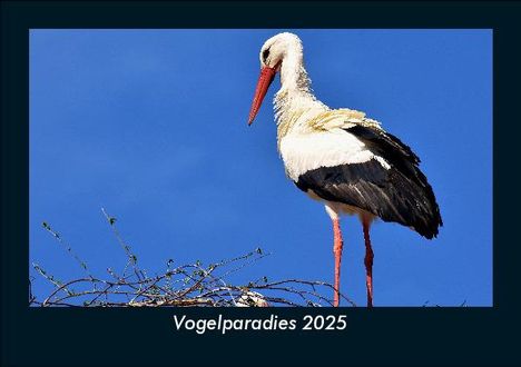 Tobias Becker: Vogelparadies 2025 Fotokalender DIN A5, Kalender