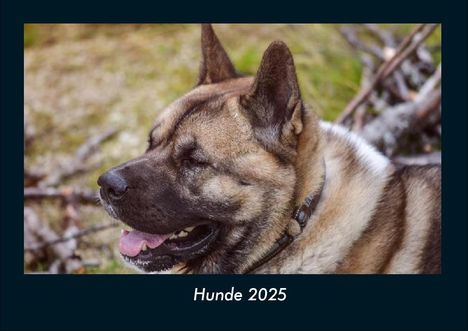 Tobias Becker: Hunde 2025 Fotokalender DIN A4, Kalender