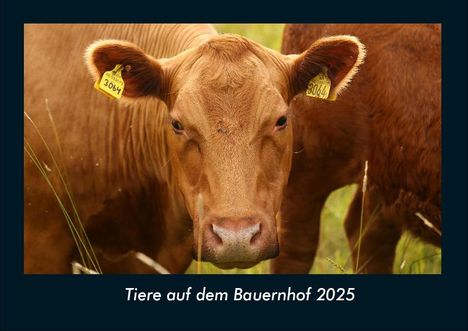 Tobias Becker: Tiere auf dem Bauernhof 2025 Fotokalender DIN A4, Kalender