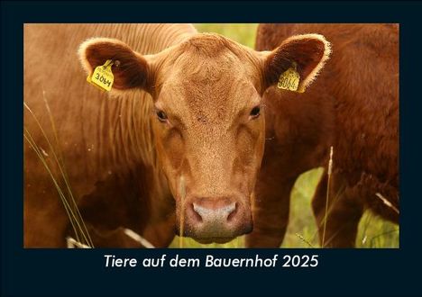 Tobias Becker: Tiere auf dem Bauernhof 2025 Fotokalender DIN A5, Kalender