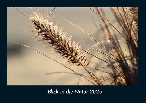 Tobias Becker: Blick in die Natur 2025 Fotokalender DIN A4, Kalender