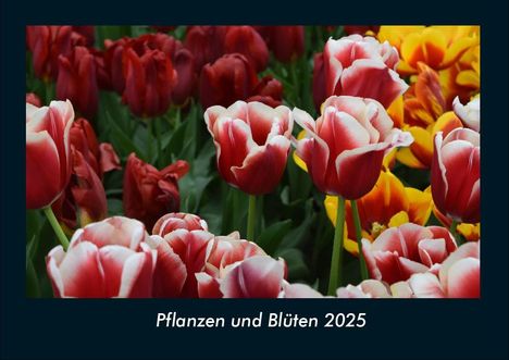 Tobias Becker: Pflanzen und Blüten 2025 Fotokalender DIN A4, Kalender