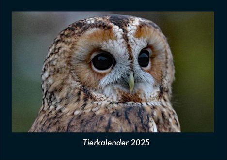 Tobias Becker: Tierkalender 2025 Fotokalender DIN A4, Kalender