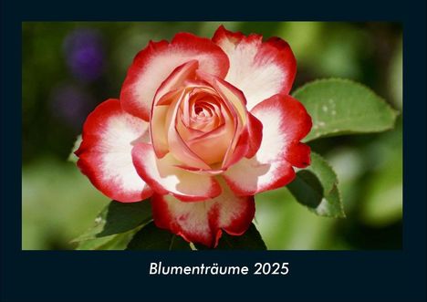 Tobias Becker: Blumenträume 2025 Fotokalender DIN A4, Kalender