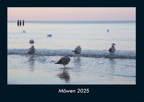 Tobias Becker: Möwen 2025 Fotokalender DIN A4, Kalender