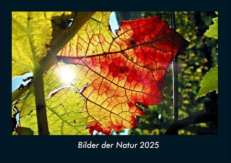 Tobias Becker: Bilder der Natur 2025 Fotokalender DIN A4, Kalender