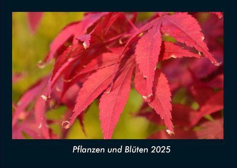 Tobias Becker: Pflanzen und Blüten 2025 Fotokalender DIN A4, Kalender