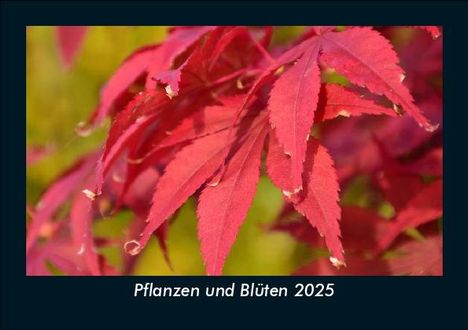 Tobias Becker: Pflanzen und Blüten 2025 Fotokalender DIN A5, Kalender