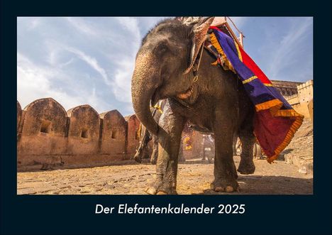 Tobias Becker: Der Elefantenkalender 2025 Fotokalender DIN A4, Kalender