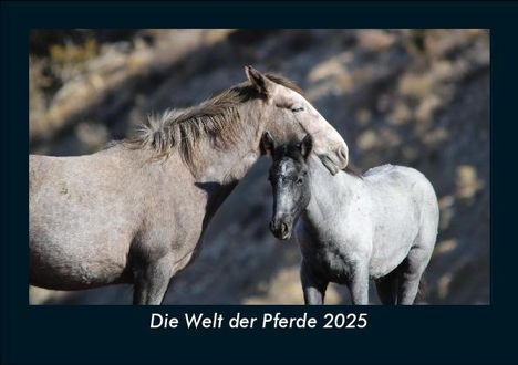 Tobias Becker: Die Welt der Pferde 2025 Fotokalender DIN A5, Kalender