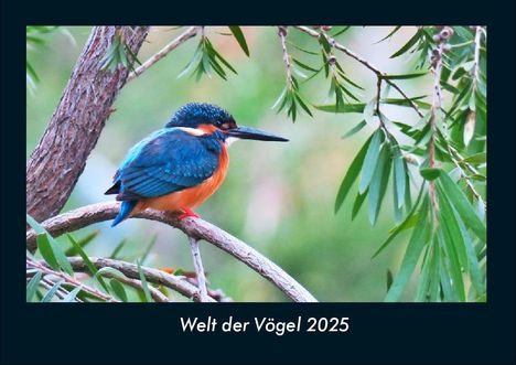 Tobias Becker: Welt der Vögel 2025 Fotokalender DIN A4, Kalender