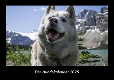 Tobias Becker: Der Hundekalender 2025 Fotokalender DIN A3, Kalender