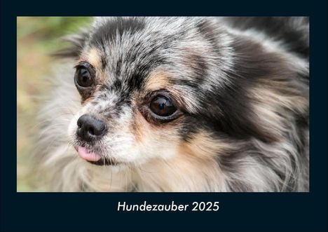 Tobias Becker: Hundezauber 2025 Fotokalender DIN A4, Kalender