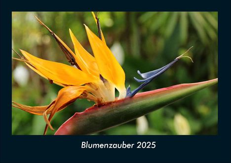 Tobias Becker: Blumenzauber 2025 Fotokalender DIN A4, Kalender