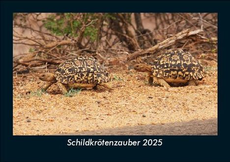 Tobias Becker: Schildkrötenzauber 2025 Fotokalender DIN A5, Kalender