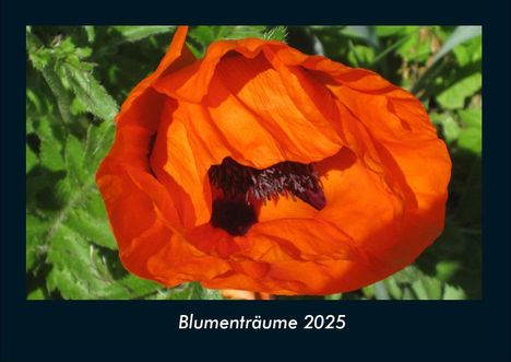 Tobias Becker: Blumenträume 2025 Fotokalender DIN A4, Kalender