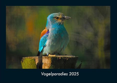 Tobias Becker: Vogelparadies 2025 Fotokalender DIN A4, Kalender