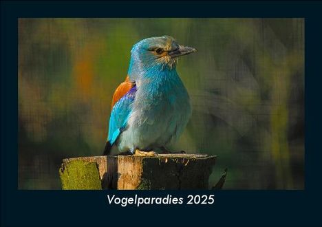 Tobias Becker: Vogelparadies 2025 Fotokalender DIN A5, Kalender