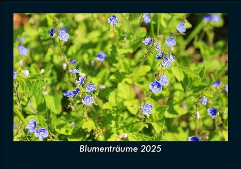 Tobias Becker: Blumenträume 2025 Fotokalender DIN A5, Kalender