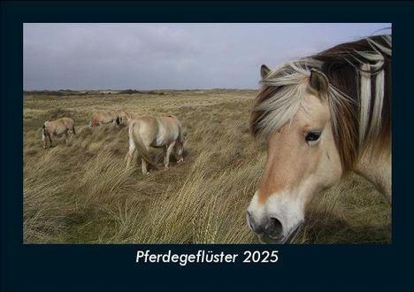 Tobias Becker: Pferdegeflüster 2025 Fotokalender DIN A5, Kalender