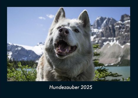 Tobias Becker: Hundezauber 2025 Fotokalender DIN A4, Kalender