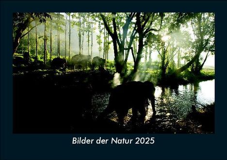 Tobias Becker: Bilder der Natur 2025 Fotokalender DIN A5, Kalender