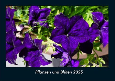 Tobias Becker: Pflanzen und Blüten 2025 Fotokalender DIN A4, Kalender